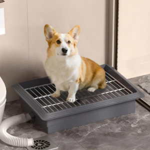 Flushable dog toilet